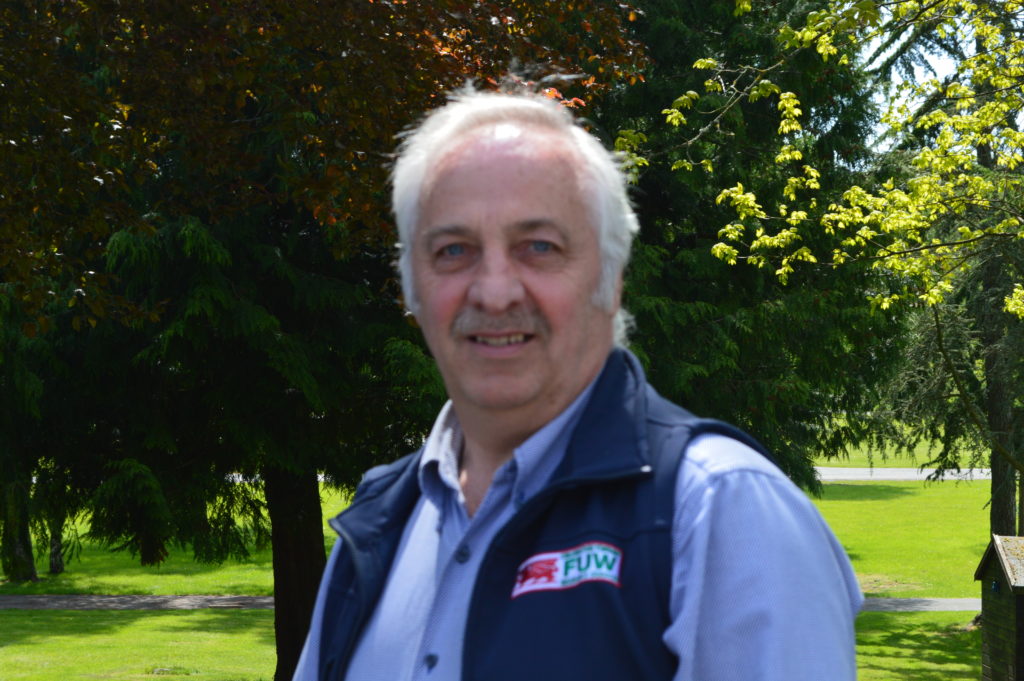 David Powell